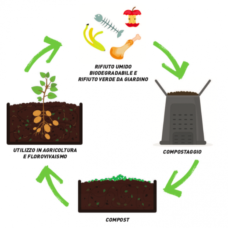 <h3>Cosa compostare:</h3>